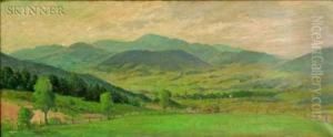 Summer Fields