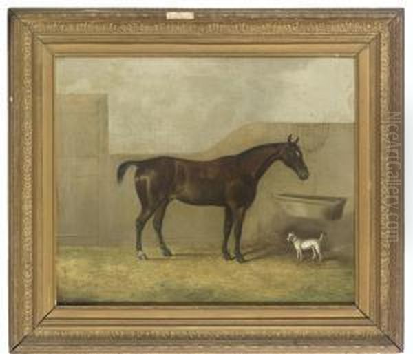 A Bay Horse And A Terrier In A Stable - view 1