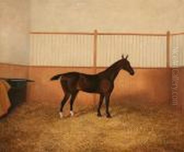 Horse In A Stable - view 1