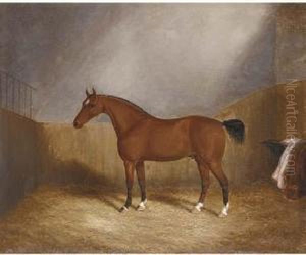 A Chestnut Hunter In A Stable - view 1