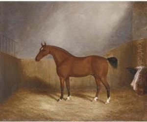 A Chestnut Hunter In A Stable by James Senior Clark