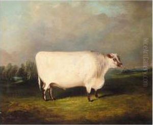 A Prize Shorthorn In A Landscape by James Senior Clark