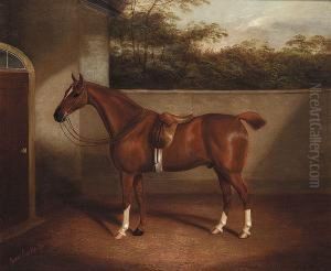 And Son , "a Horse In The Yard"