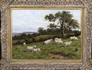 Sheep In A Meadow by Joseph Dixon Clark