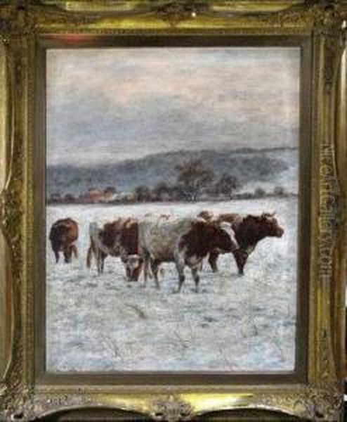 Cattle In The Snow - view 1