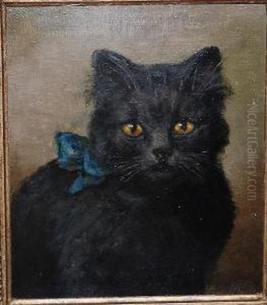 Portait Of A Cat With A Blue Ribbon - view 1