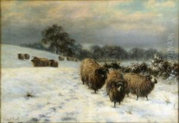 Sheep In Winter - view 1