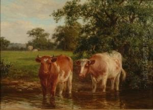 'cattle Watering' And 'sheep With Lambs'