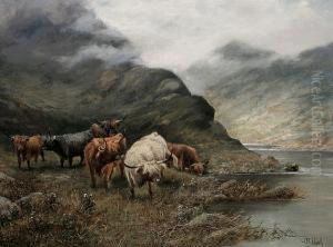 Highland Cattle by Octavius Thomas Clark