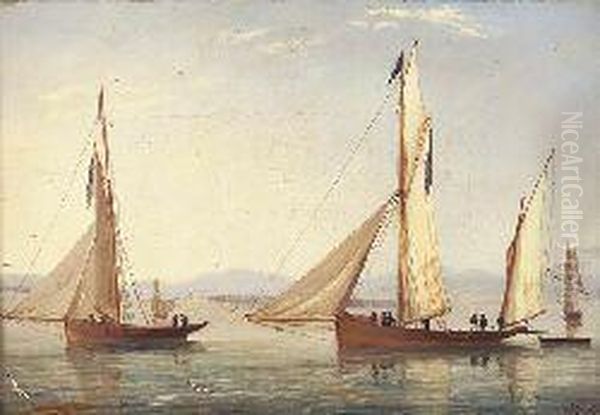 Coastal Shipping In Calm Seas - view 1