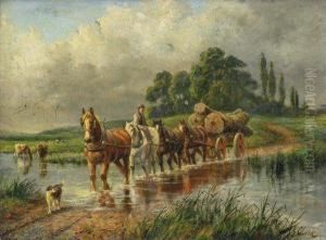 A Busy Day At The Farm