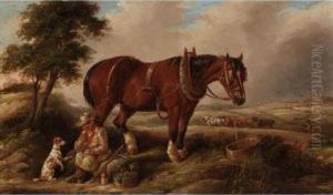 The Ploughman's Lunch