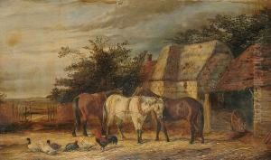 Farmyard Scenes