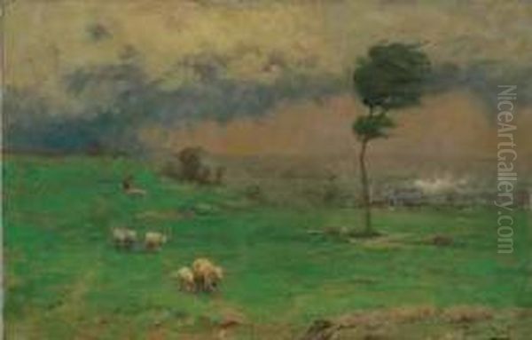 Herding Sheep From A Pending Storm - view 1