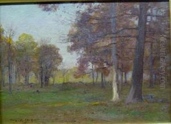Trees In Autumn - view 1