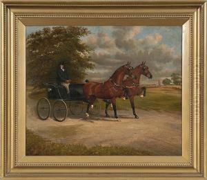 Pair
Of Bay Hackney Horses Pulling A Gig