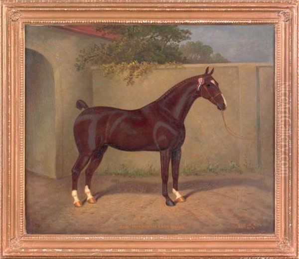 Horse Portrait - view 1