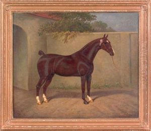 Horse Portrait by William Clark Of Greenock