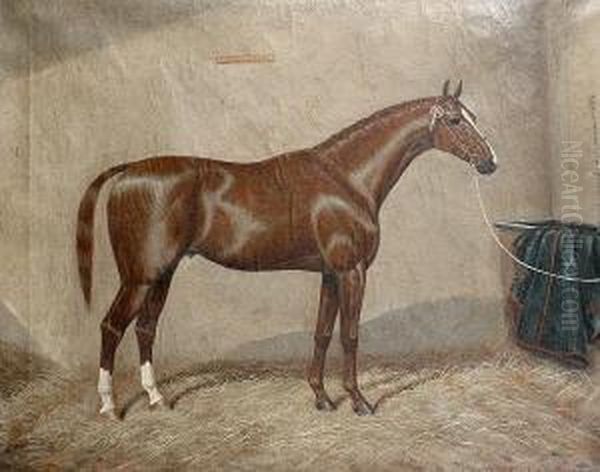 Drummond's Pride - A Horse In A Stable - view 1