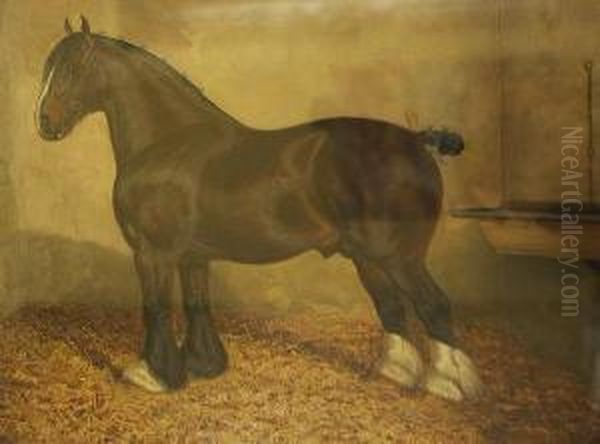 Shire Horse In A Stable - view 1