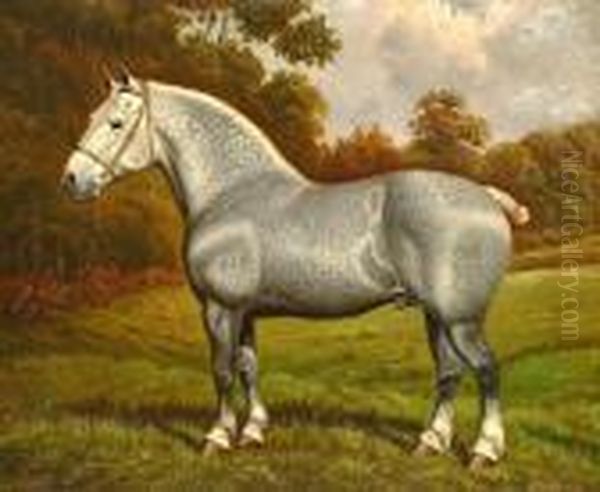 The Grey Shire Horse 'nonius'; And The Bay Shire Horse "brimfield Forest King" - view 1
