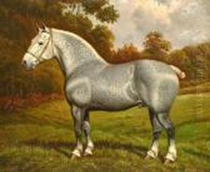 The Grey Shire Horse 'nonius'; And The Bay Shire Horse "brimfield Forest King"