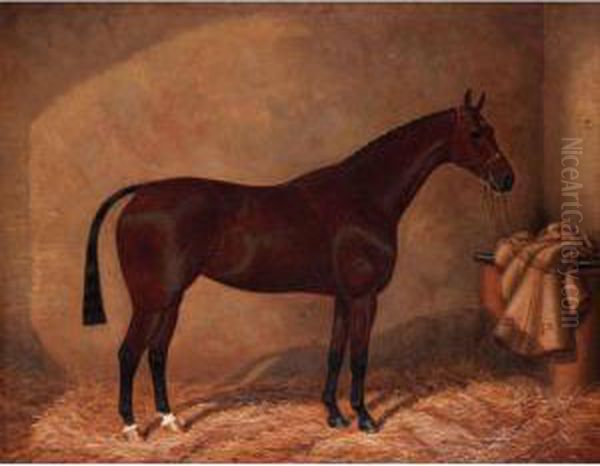 Bay Horse In Stable - view 1