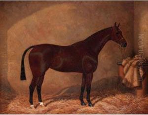 Bay Horse In Stable by William Clark Of Greenock