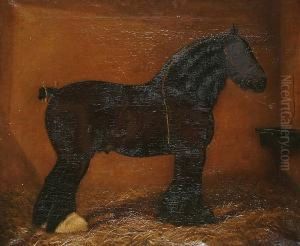 Portrait Of A Shire Horse In A Stable, Believed To Be Champion's Coalkeeper Portrait Of A Shire Horse In A Stable, Believed To Be Champion's Coalkeeper