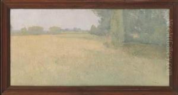 An Open Plain - view 1