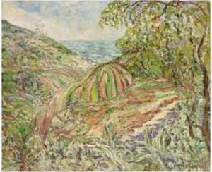 Extensive Landscape Extensive Landscape