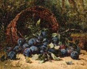 A Basket With Plums On A Bank A Basket With Plums On A Bank