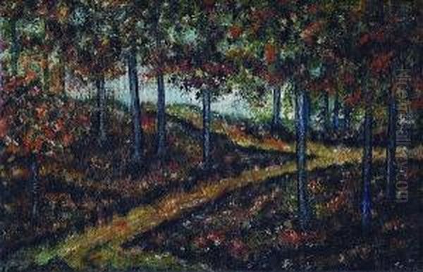 Arboleda - view 1