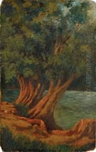 Rincon Del Lago De Chapultepec by Joaquin Clausell