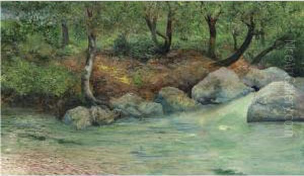 Paisaje Con Bosque Y Rio - view 1