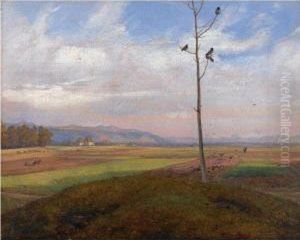 Parti Ved Dresden (view Over Fields Near Dresden)