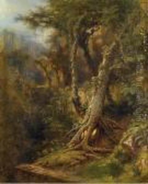 Cuban Jungle - view 1