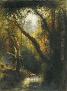 Boszicht Te Cuba by Henry Cleenewerck