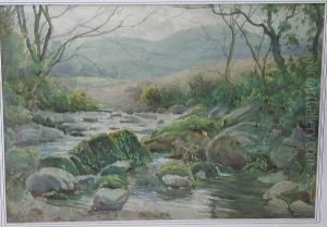 A Wooded Stream And Hillside by Tom Clough