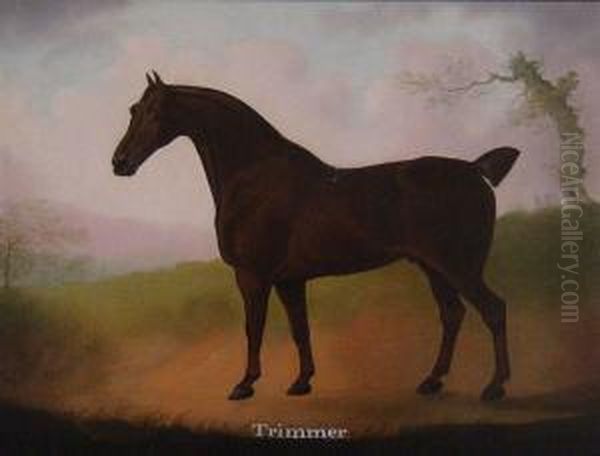 Portrait Of A Hunter - view 1
