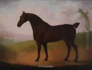 Portrait Of A Hunter