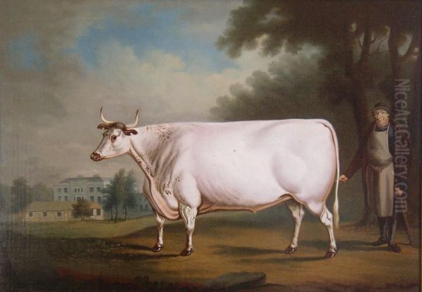 The White Ox - view 1