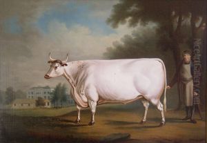 The White Ox