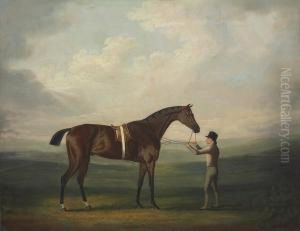 A Groom With A Dark Bay Hunter