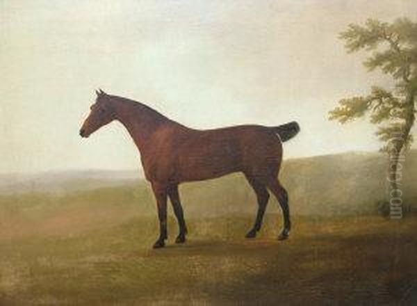 Portrait Of A Chestnut Bay Hunter In A Landscape - view 1