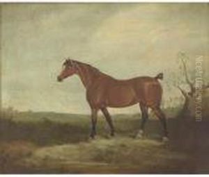 A Horse In A Landscape