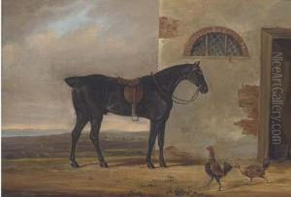 A Saddled Hunter Before A Stable - view 1