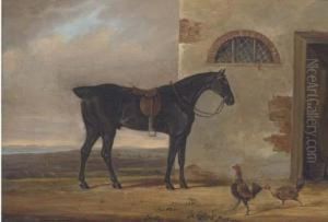 A Saddled Hunter Before A Stable