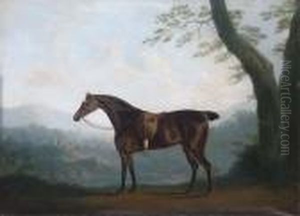 A Bay Hunter In An Extensive Landscape - view 1