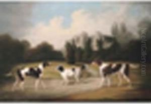 Sportingdogs In The Grounds Of A Country House by Daniel Clowes